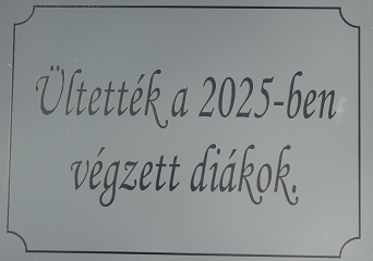 Éjszaka az iskolában